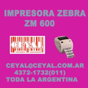 Reparamos Zebra Cabezal, GBA