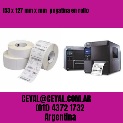 153 x 127 mm x mm  pegatina en rollo