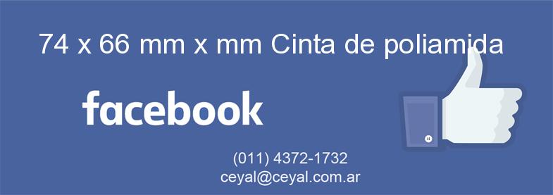 74 x 66 mm x mm Cinta de poliamida