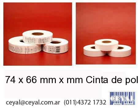 74 x 66 mm x mm Cinta de poliamida