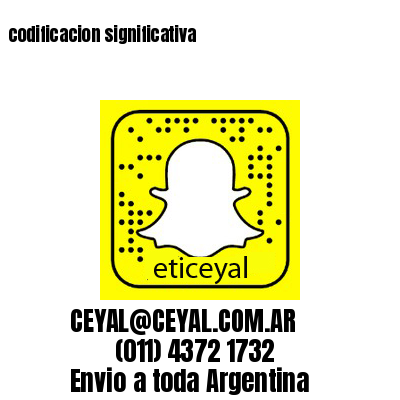 codificacion significativa