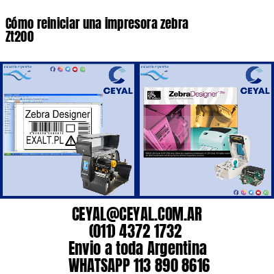 Cómo reiniciar una impresora zebra Zt200