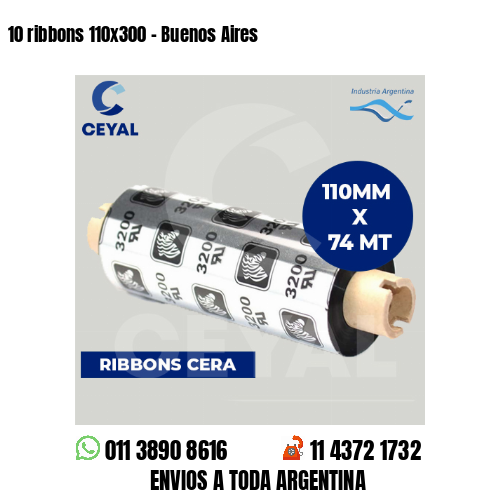10 ribbons 110×300 – Buenos Aires