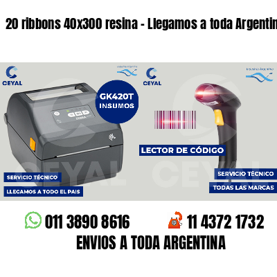 20 ribbons 40x300 resina - Llegamos a toda Argentina
