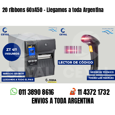 20 ribbons 60x450 - Llegamos a toda Argentina