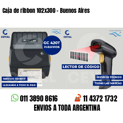 Caja de ribbon 102x300 - Buenos Aires
