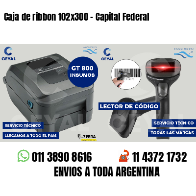 Caja de ribbon 102x300 - Capital Federal