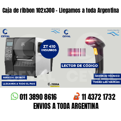 Caja de ribbon 102x300 - Llegamos a toda Argentina