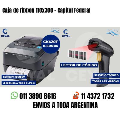 Caja de ribbon 110x300 - Capital Federal