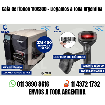 Caja de ribbon 110x300 - Llegamos a toda Argentina