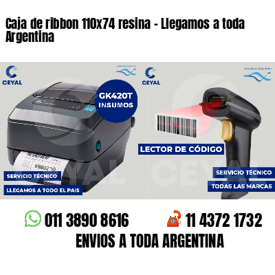 Caja de ribbon 110x74 resina - Llegamos a toda Argentina