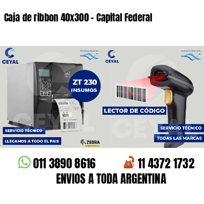 Caja de ribbon 40x300 - Capital Federal