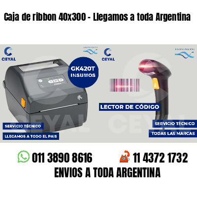 Caja de ribbon 40x300 - Llegamos a toda Argentina