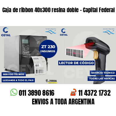 Caja de ribbon 40x300 resina doble - Capital Federal