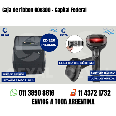 Caja de ribbon 60x300 - Capital Federal