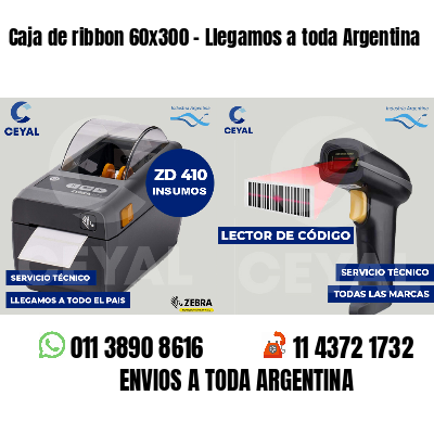 Caja de ribbon 60x300 - Llegamos a toda Argentina