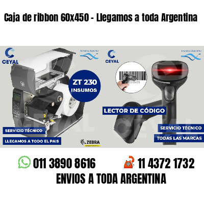 Caja de ribbon 60x450 - Llegamos a toda Argentina