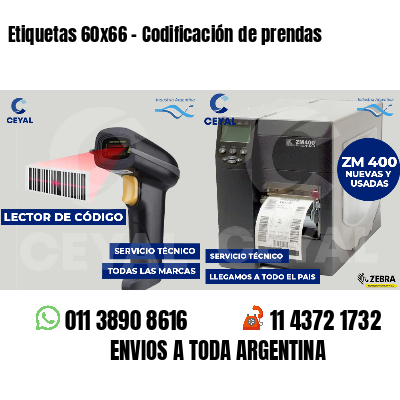 Etiquetas 60x66 - Codificación de prendas