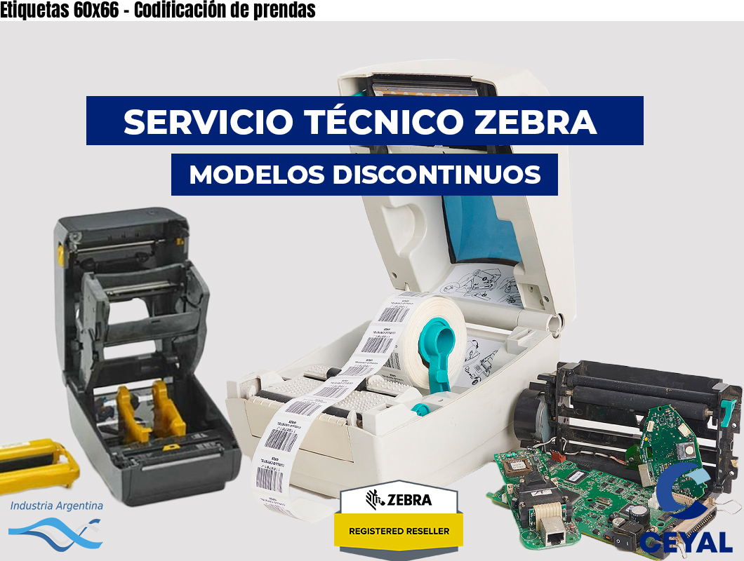 Etiquetas 60x66 - Codificación de prendas
