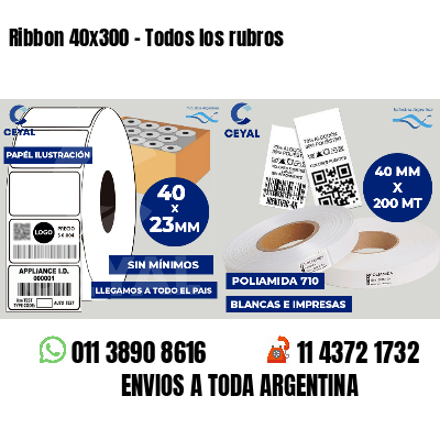 Ribbon 40x300 - Todos los rubros