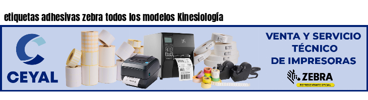 etiquetas adhesivas zebra todos los modelos Kinesiología