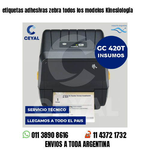 etiquetas adhesivas zebra todos los modelos Kinesiología