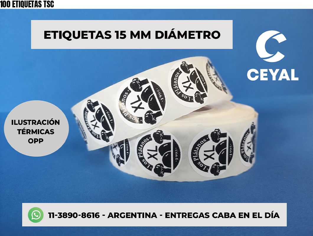 100 ETIQUETAS TSC