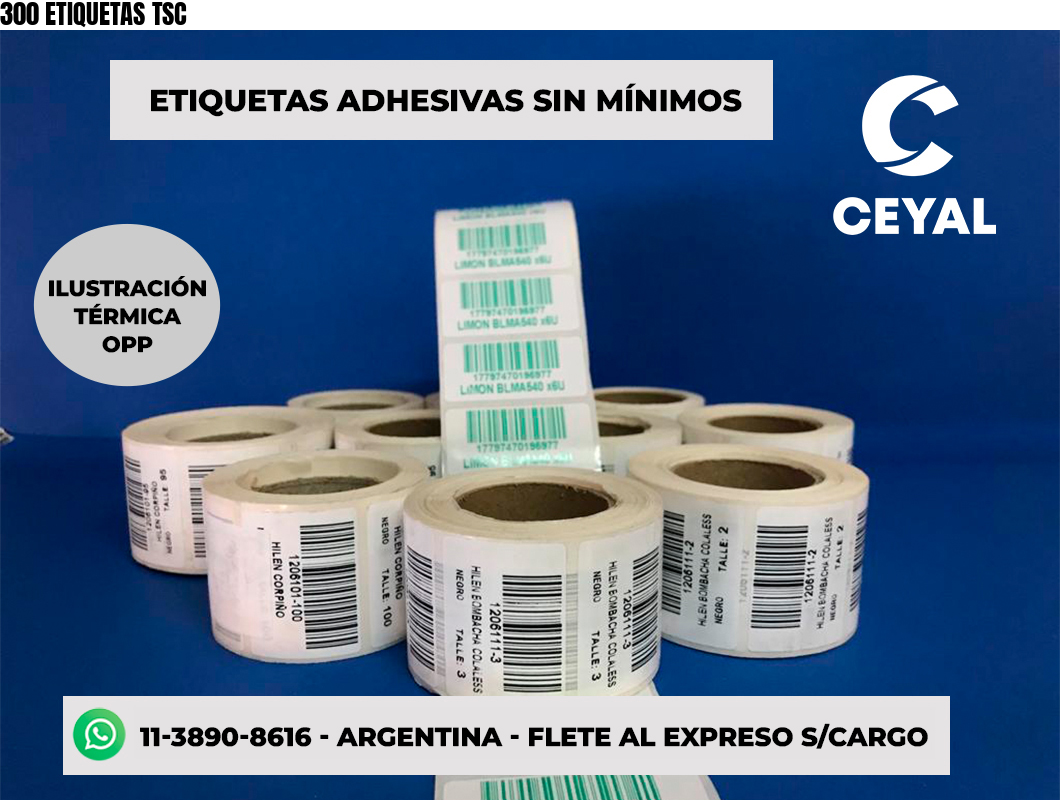 300 ETIQUETAS TSC