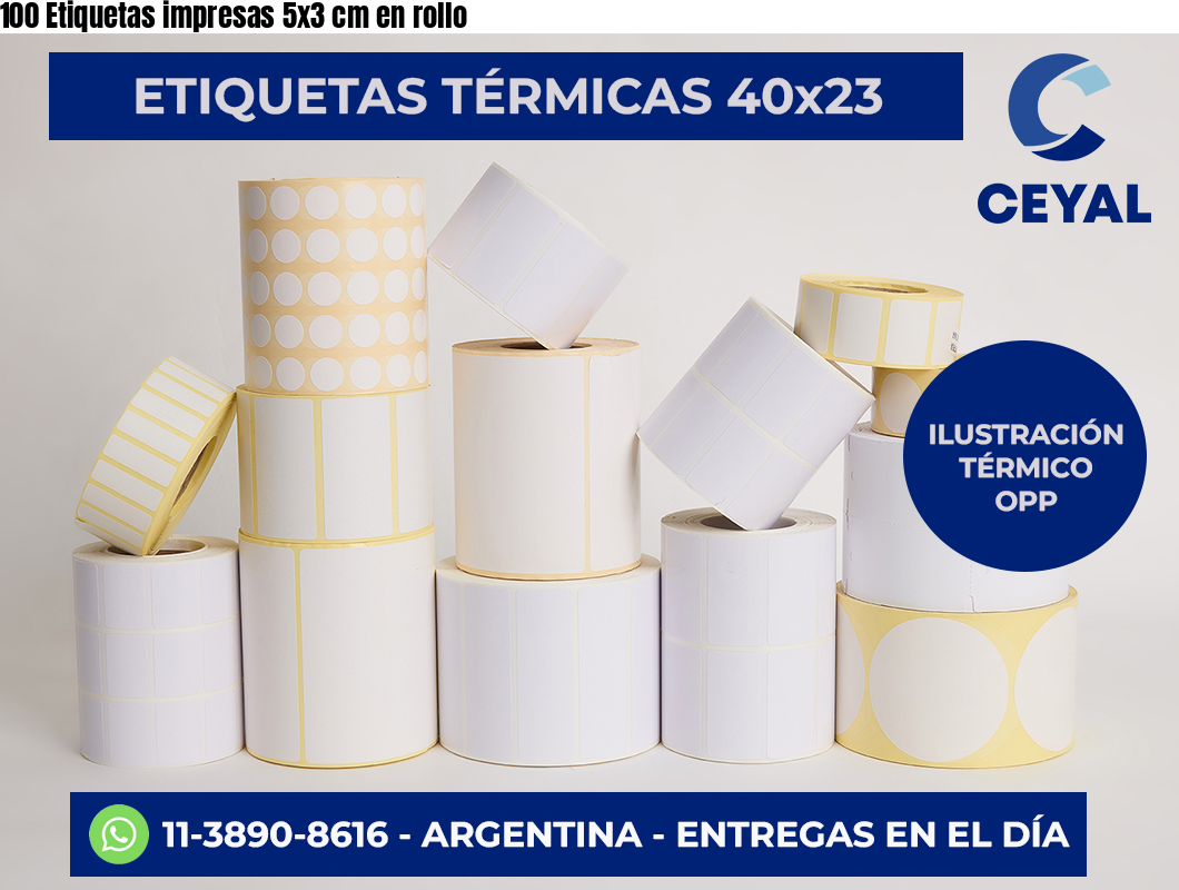 100 Etiquetas impresas 5×3 cm en rollo