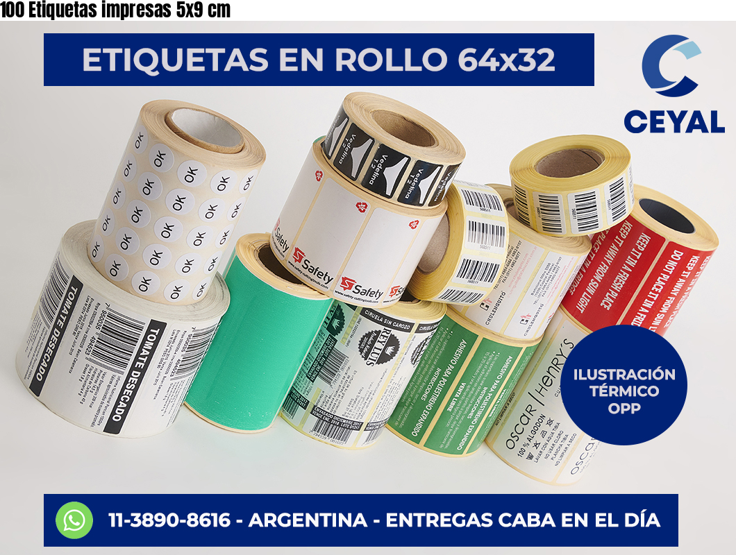 100 Etiquetas impresas 5×9 cm