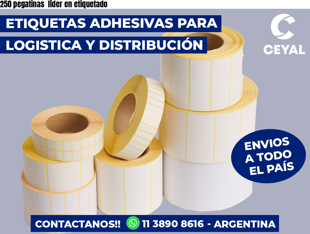 250 pegatinas  líder en etiquetado