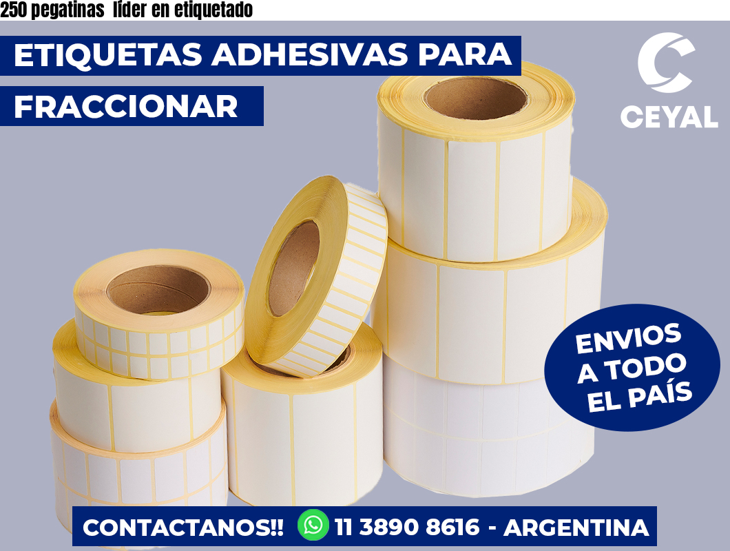 250 pegatinas líder en etiquetado