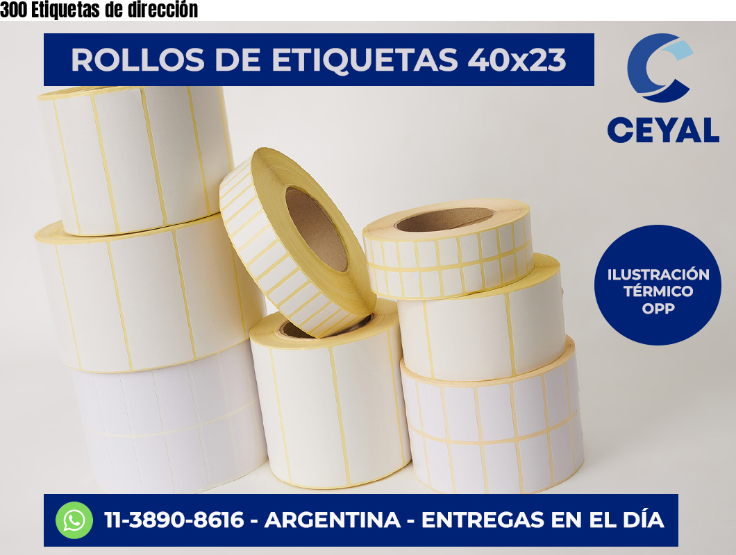 300 Etiquetas de dirección