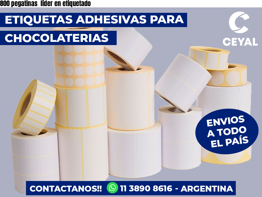 800 pegatinas líder en etiquetado