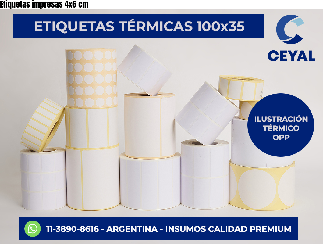 Etiquetas impresas 4×6 cm