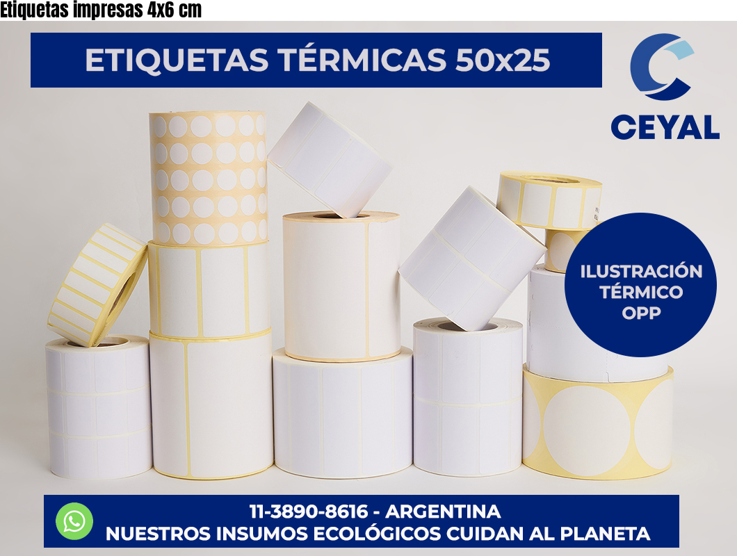 Etiquetas impresas 4×6 cm