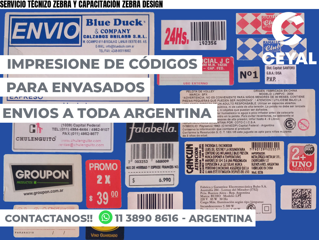 SERVICIO TÉCNIZO ZEBRA Y CAPACITACIÓN ZEBRA DESIGN