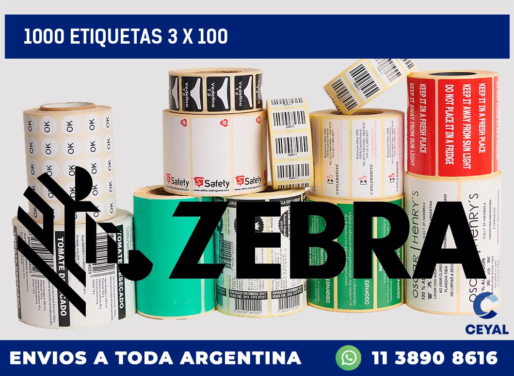 1000 etiquetas 3 x 100