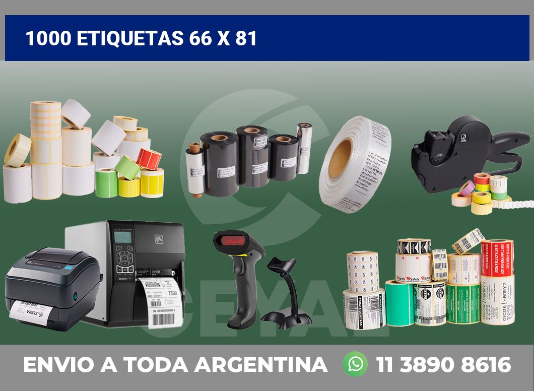 1000 etiquetas 66 x 81