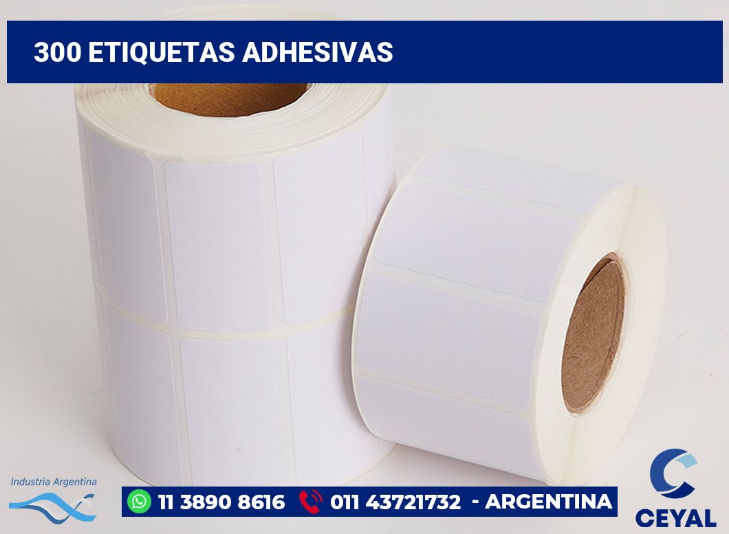 300 Etiquetas adhesivas