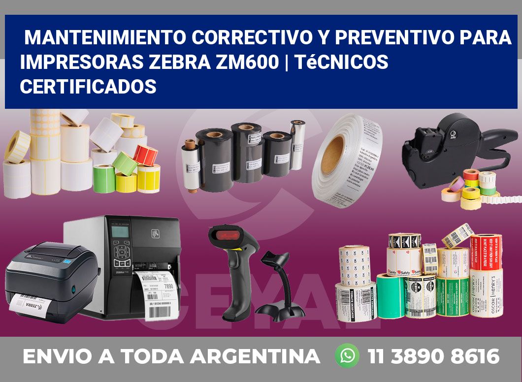 Mantenimiento correctivo y preventivo para impresoras Zebra ZM600 | Técnicos certificados