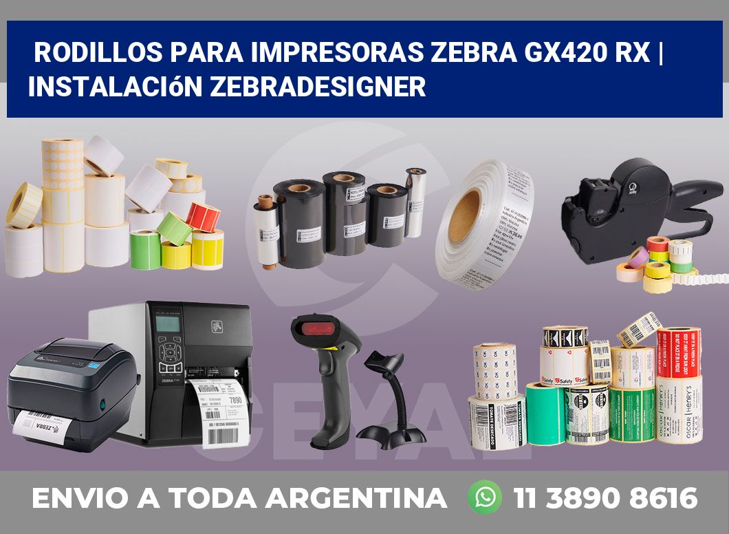 Rodillos para impresoras Zebra GX420 RX | Instalación ZebraDesigner