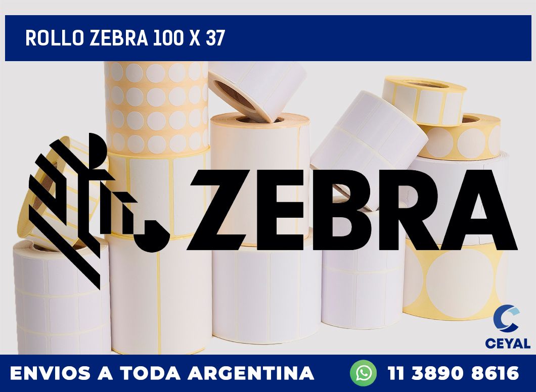 rollo zebra 100 x 37