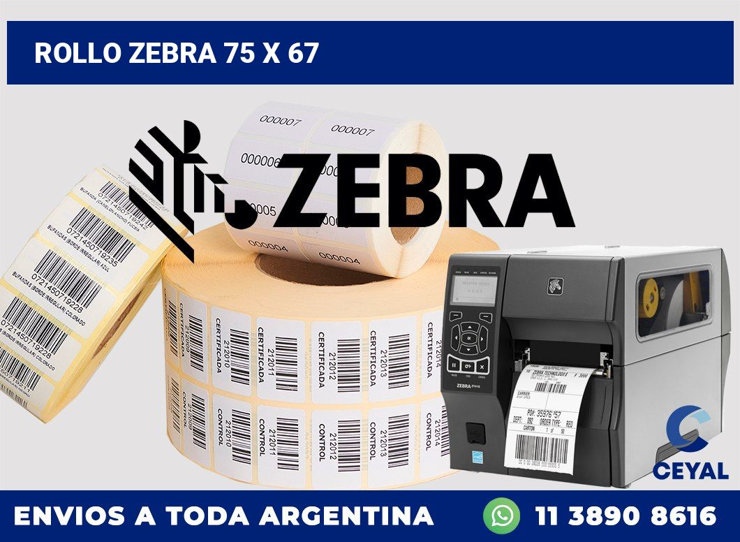 rollo zebra 75 x 67