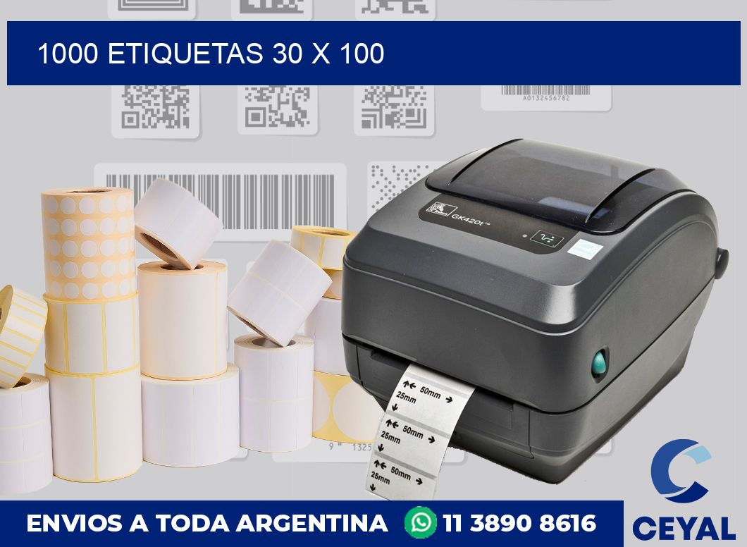 1000 etiquetas 30 x 100