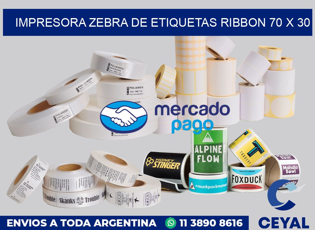 Impresora Zebra de etiquetas ribbon 70 x 30