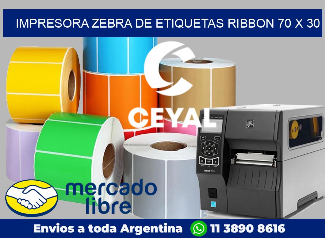 Impresora Zebra de etiquetas ribbon 70 x 30