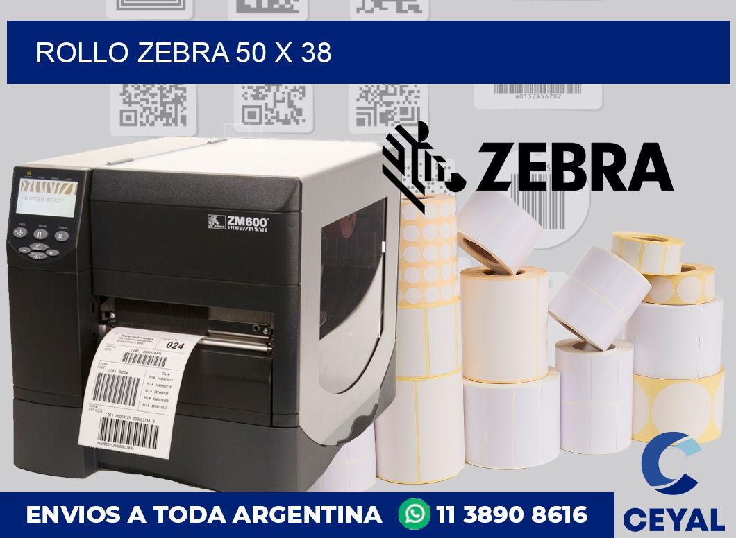 rollo zebra 50 x 38