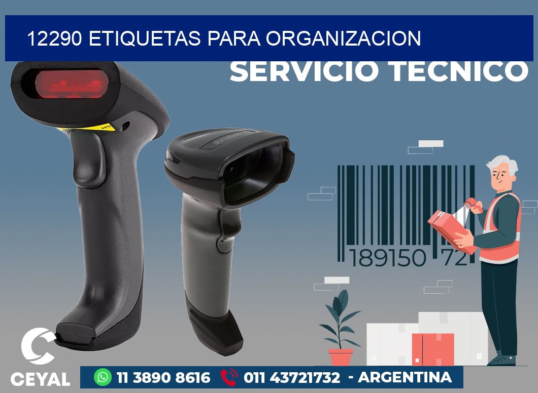 12290 ETIQUETAS PARA ORGANIZACION