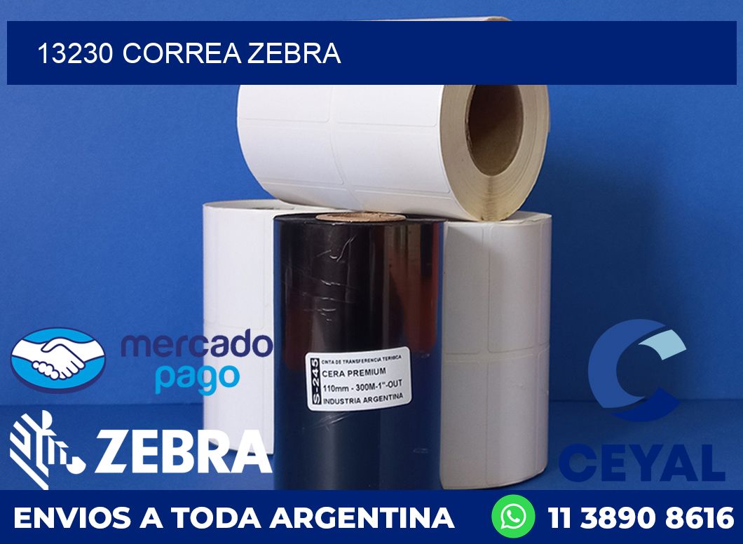 13230 CORREA ZEBRA